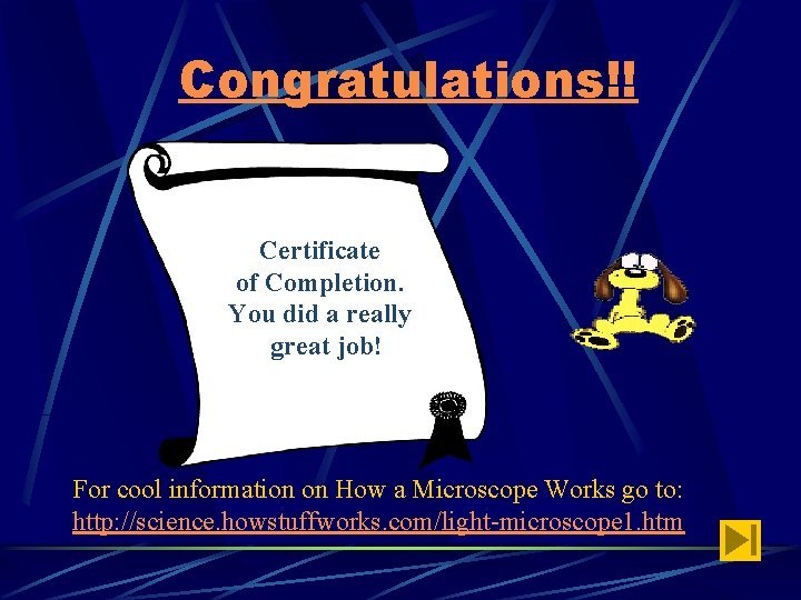 Congratulations!! Certificate of Completion. You did a really great job! For cool information on