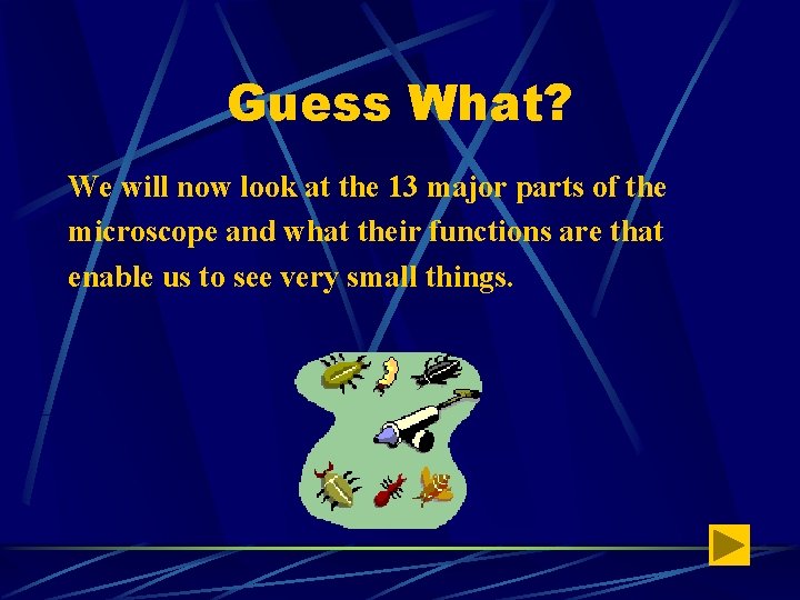 Guess What? We will now look at the 13 major parts of the microscope