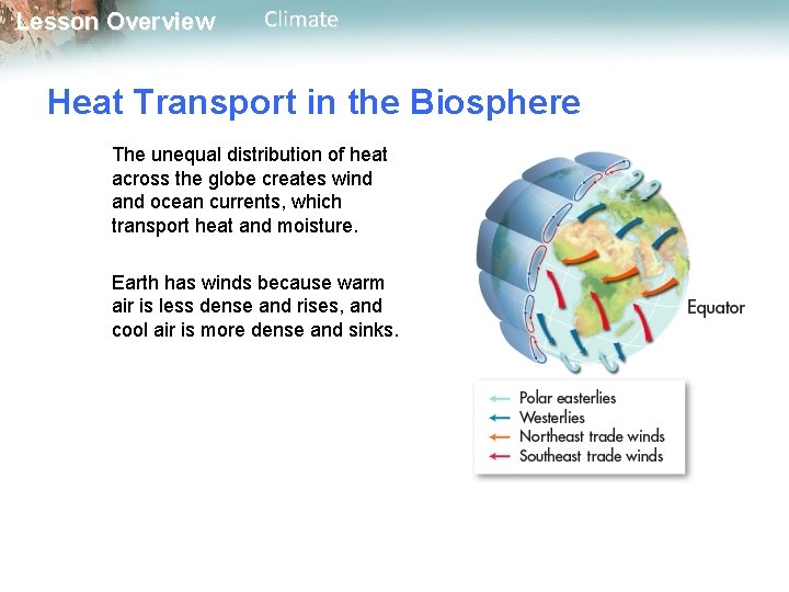 Lesson Overview Climate Heat Transport in the Biosphere The unequal distribution of heat across