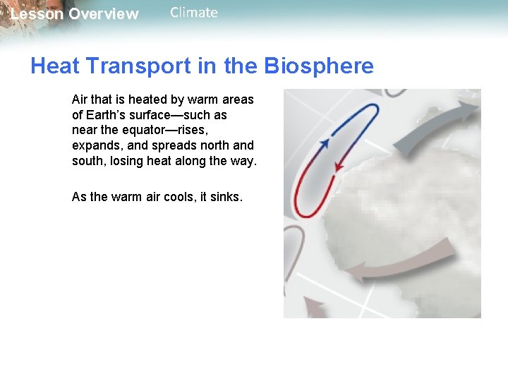 Lesson Overview Climate Heat Transport in the Biosphere Air that is heated by warm