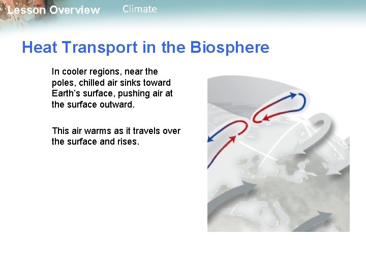 Lesson Overview Climate Heat Transport in the Biosphere In cooler regions, near the poles,