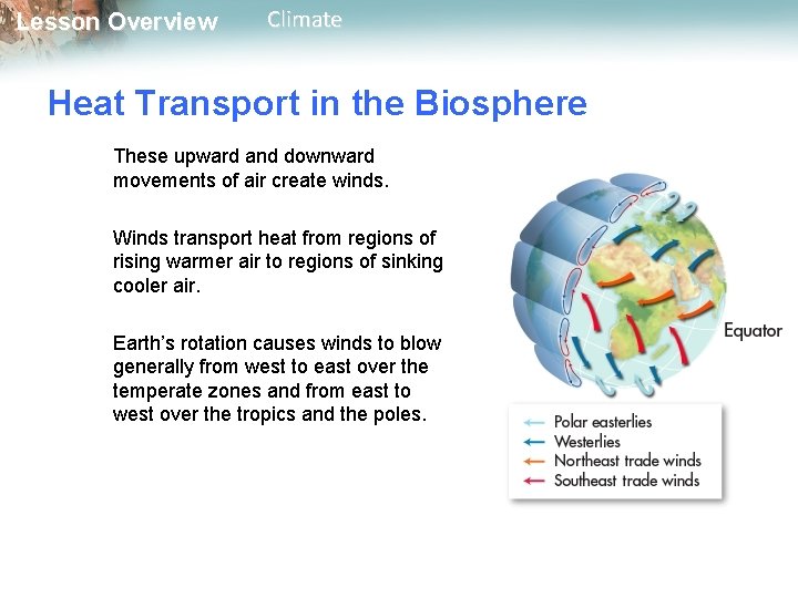 Lesson Overview Climate Heat Transport in the Biosphere These upward and downward movements of