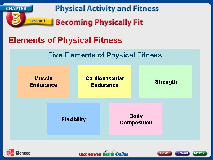 Elements of Physical Fitness Five Elements of Physical Fitness Muscle Endurance Cardiovascular Endurance Flexibility