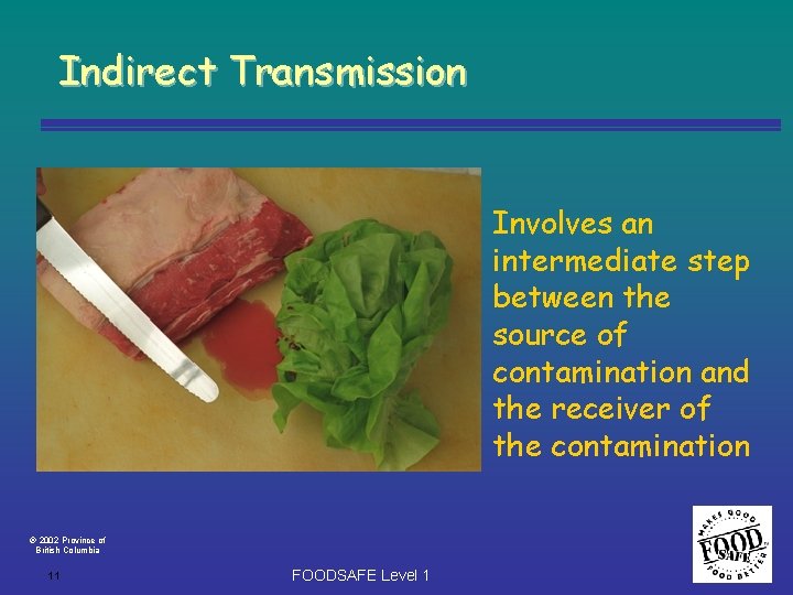 Indirect Transmission Involves an intermediate step between the source of contamination and the receiver