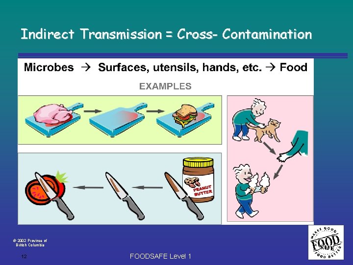 Indirect Transmission = Cross- Contamination 2002 Province of British Columbia 12 FOODSAFE Level 1