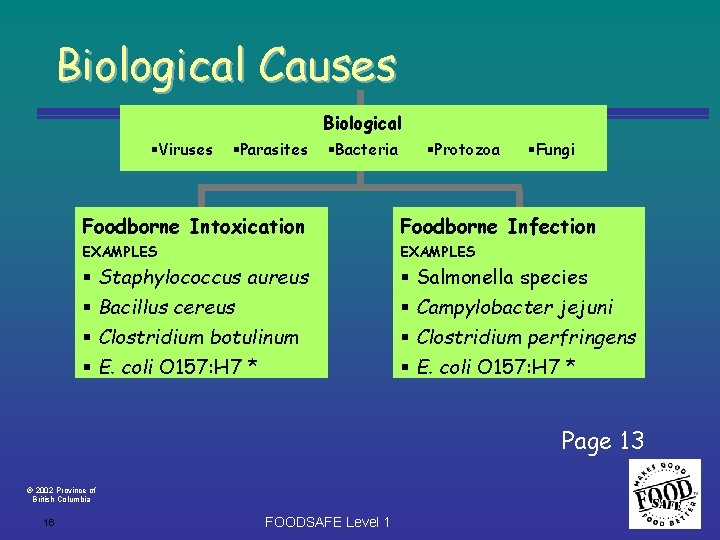 Biological Causes Biological Viruses Parasites Bacteria Protozoa Fungi Foodborne Intoxication Foodborne Infection EXAMPLES Staphylococcus