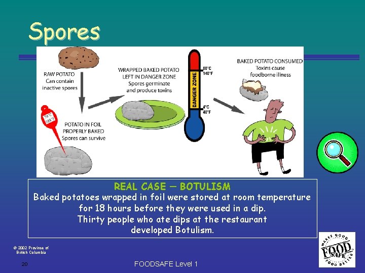 Spores REAL CASE ─ BOTULISM Baked potatoes wrapped in foil were stored at room