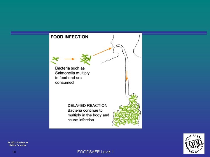  2002 Province of British Columbia 28 FOODSAFE Level 1 