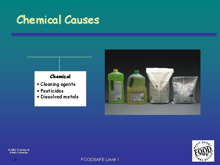 Chemical Causes Chemical Cleaning agents Pesticides Dissolved metals 2002 Province of British Columbia 29