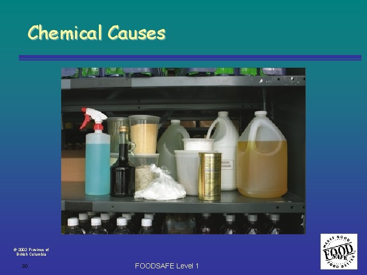 Chemical Causes 2002 Province of British Columbia 30 FOODSAFE Level 1 