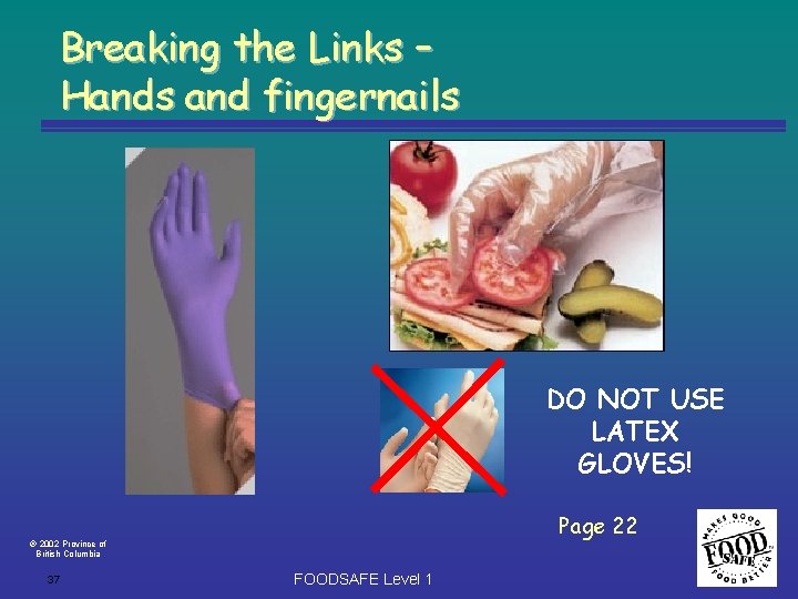 Breaking the Links – Hands and fingernails DO NOT USE LATEX GLOVES! Page 22