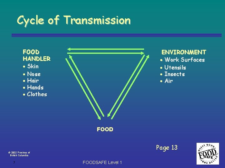 Cycle of Transmission FOOD HANDLER · Skin · Nose · Hair · Hands ·