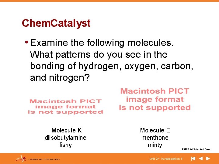 Chem. Catalyst • Examine the following molecules. What patterns do you see in the