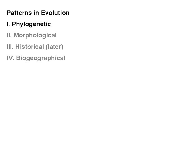 Patterns in Evolution I. Phylogenetic II. Morphological III. Historical (later) IV. Biogeographical 