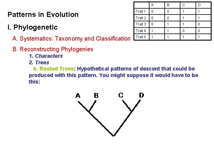 A B C D Patterns in Evolution Trait 1 0 0 1 1 Trait