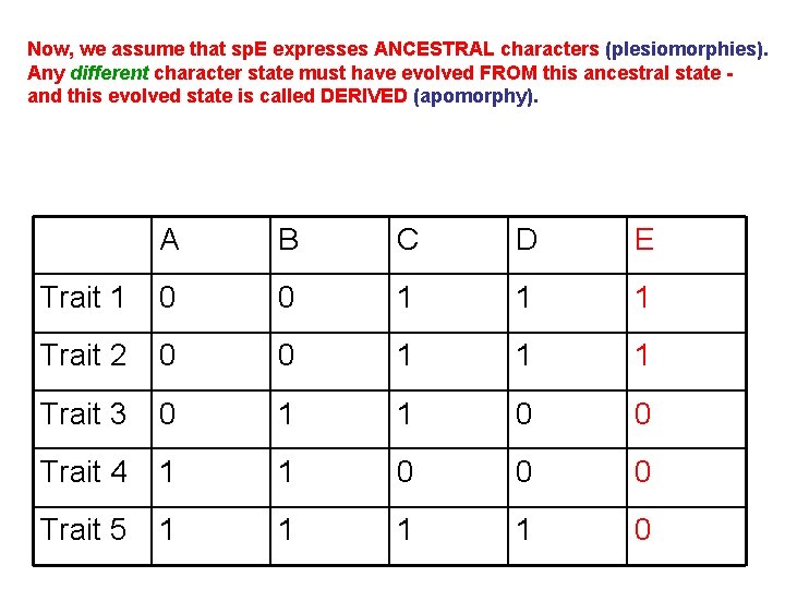 Now, we assume that sp. E expresses ANCESTRAL characters (plesiomorphies). Any different character state