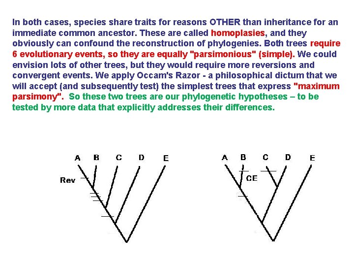 In both cases, species share traits for reasons OTHER than inheritance for an immediate