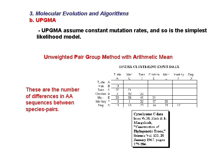 3. Molecular Evolution and Algorithms b. UPGMA - UPGMA assume constant mutation rates, and