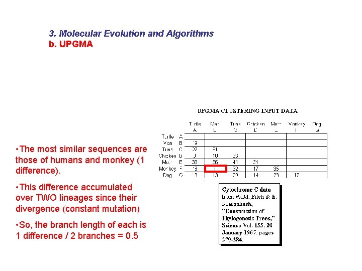 3. Molecular Evolution and Algorithms b. UPGMA • The most similar sequences are those
