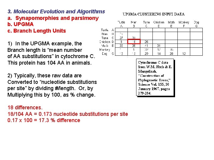 3. Molecular Evolution and Algorithms a. Synapomorphies and parsimony b. UPGMA c. Branch Length