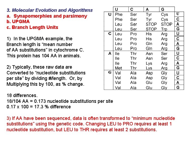 3. Molecular Evolution and Algorithms a. Synapomorphies and parsimony b. UPGMA c. Branch Length