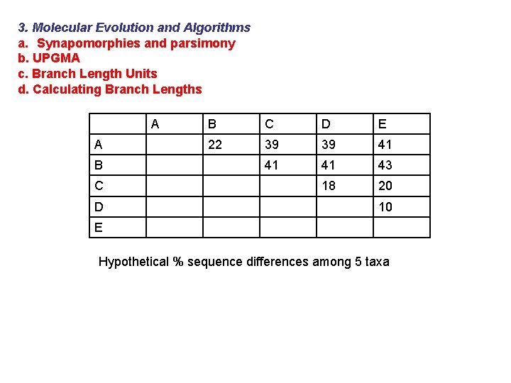 3. Molecular Evolution and Algorithms a. Synapomorphies and parsimony b. UPGMA c. Branch Length