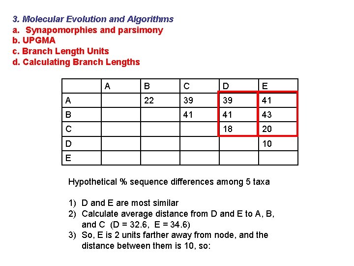 3. Molecular Evolution and Algorithms a. Synapomorphies and parsimony b. UPGMA c. Branch Length