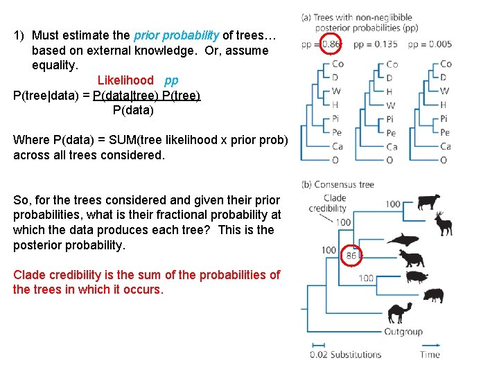 1) Must estimate the prior probability of trees… based on external knowledge. Or, assume