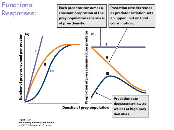 Functional Responses: 