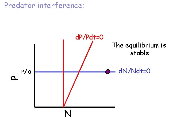 Predator interference: P d. P/Pdt=0 The equilibrium is stable d. N/Ndt=0 r/a N 