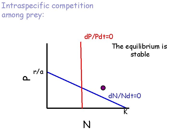 Intraspecific competition among prey: P d. P/Pdt=0 The equilibrium is stable r/a d. N/Ndt=0
