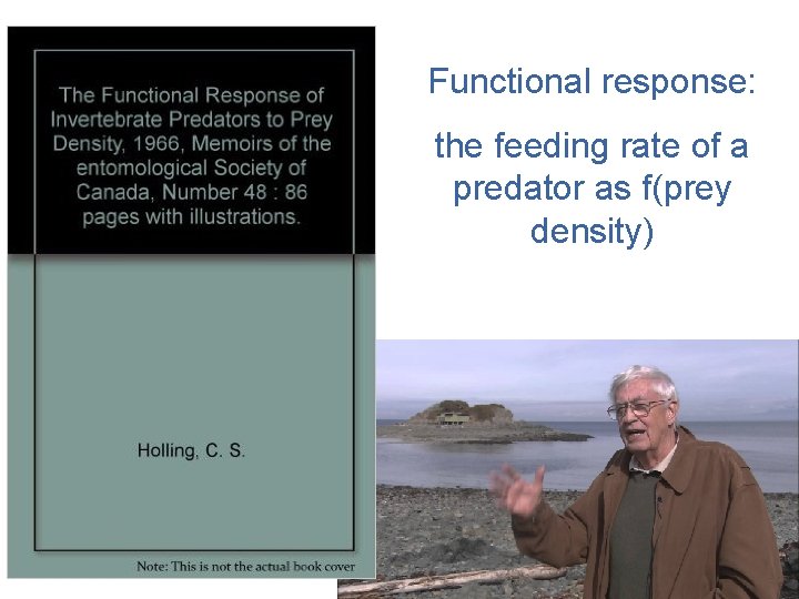 Functional response: the feeding rate of a predator as f(prey density) 