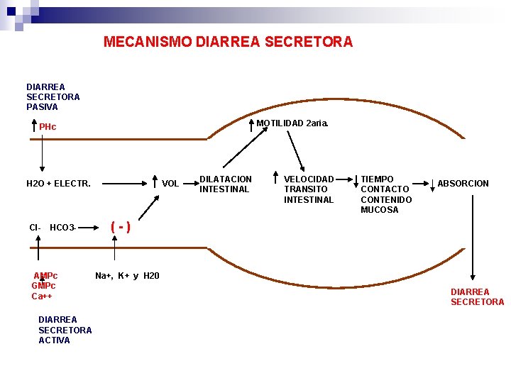 MECANISMO DIARREA SECRETORA PASIVA MOTILIDAD 2 aria. PHc H 2 O + ELECTR. VOL