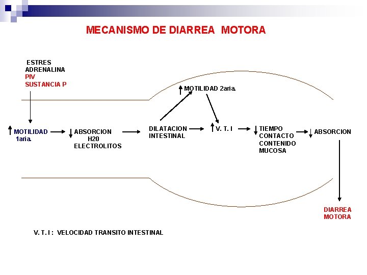 MECANISMO DE DIARREA MOTORA ESTRES ADRENALINA PIV SUSTANCIA P MOTILIDAD 1 aria. MOTILIDAD 2