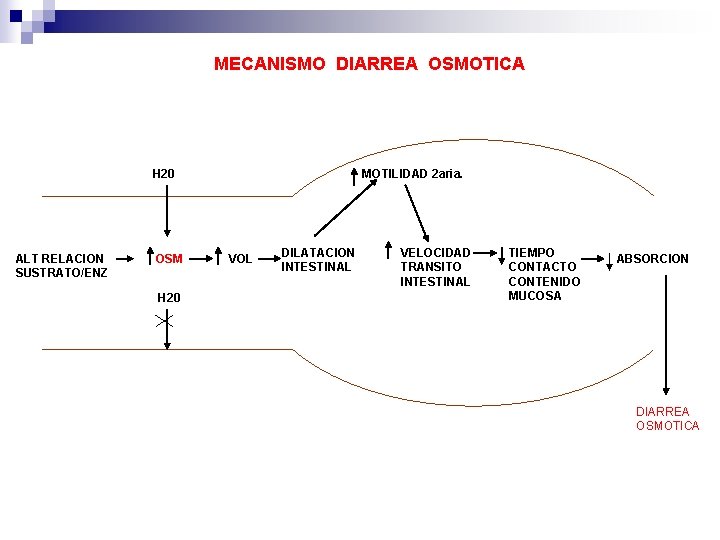 MECANISMO DIARREA OSMOTICA H 20 ALT RELACION SUSTRATO/ENZ OSM H 20 MOTILIDAD 2 aria.