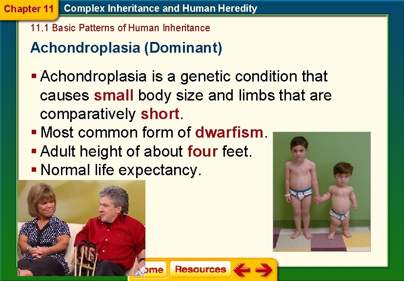 Chapter 11 Complex Inheritance and Human Heredity 11. 1 Basic Patterns of Human Inheritance