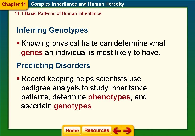 Chapter 11 Complex Inheritance and Human Heredity 11. 1 Basic Patterns of Human Inheritance