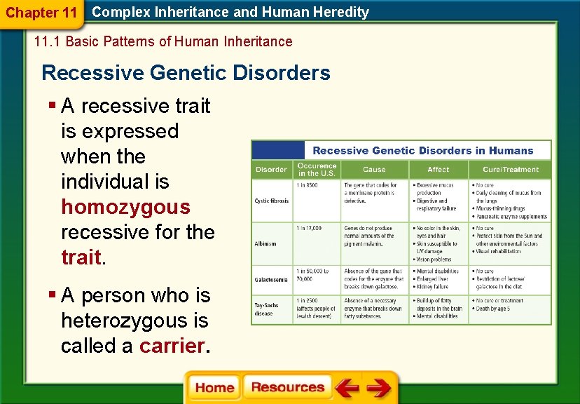 Chapter 11 Complex Inheritance and Human Heredity 11. 1 Basic Patterns of Human Inheritance