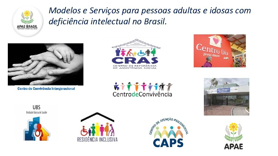 Modelos e Serviços para pessoas adultas e idosas com deficiência intelectual no Brasil. 