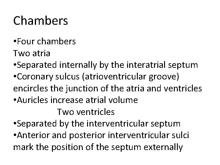 Chambers • Four chambers Two atria • Separated internally by the interatrial septum •