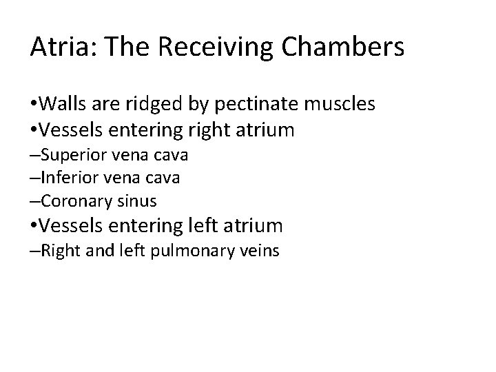 Atria: The Receiving Chambers • Walls are ridged by pectinate muscles • Vessels entering