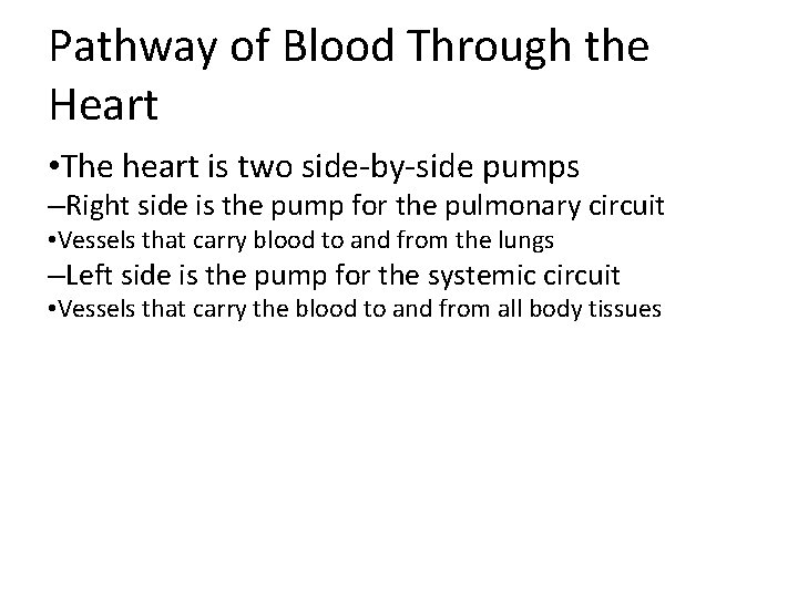 Pathway of Blood Through the Heart • The heart is two side-by-side pumps –Right