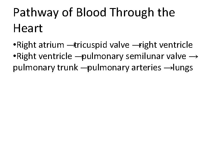 Pathway of Blood Through the Heart • Right atrium → tricuspid valve → right