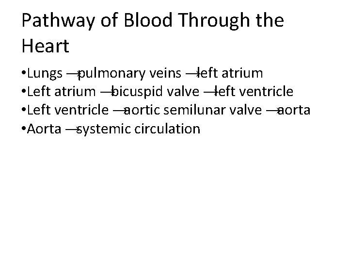 Pathway of Blood Through the Heart • Lungs → pulmonary veins → left atrium