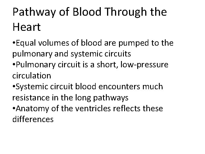 Pathway of Blood Through the Heart • Equal volumes of blood are pumped to