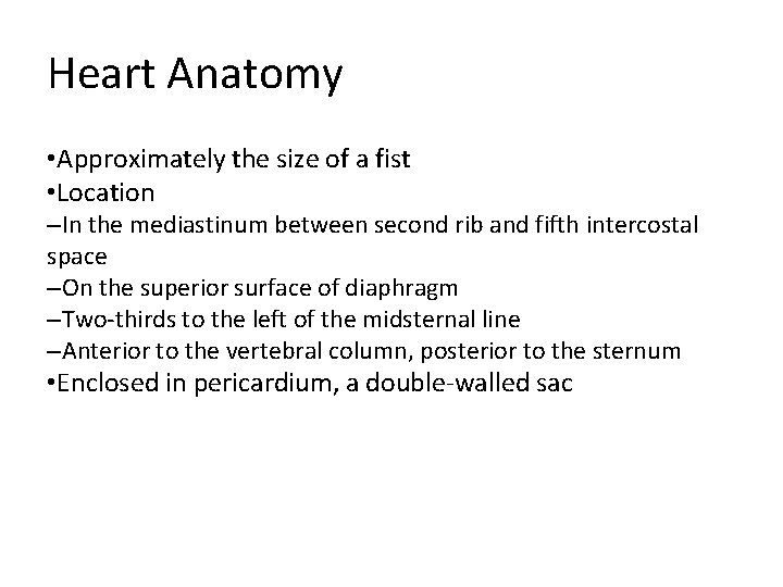 Heart Anatomy • Approximately the size of a fist • Location –In the mediastinum