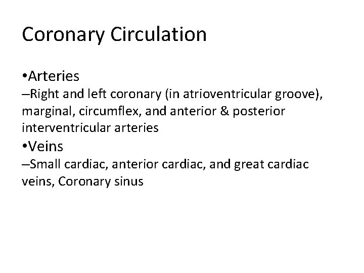 Coronary Circulation • Arteries –Right and left coronary (in atrioventricular groove), marginal, circumflex, and
