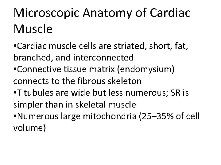 Microscopic Anatomy of Cardiac Muscle • Cardiac muscle cells are striated, short, fat, branched,