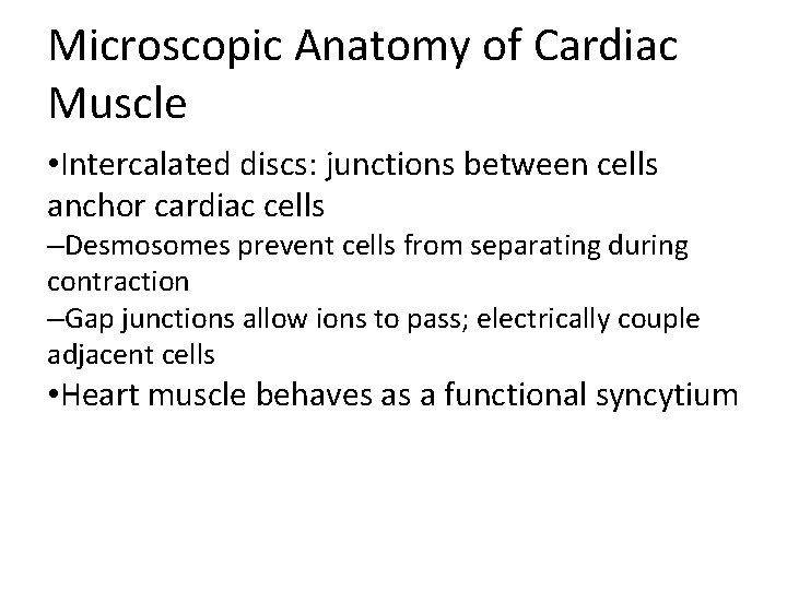 Microscopic Anatomy of Cardiac Muscle • Intercalated discs: junctions between cells anchor cardiac cells