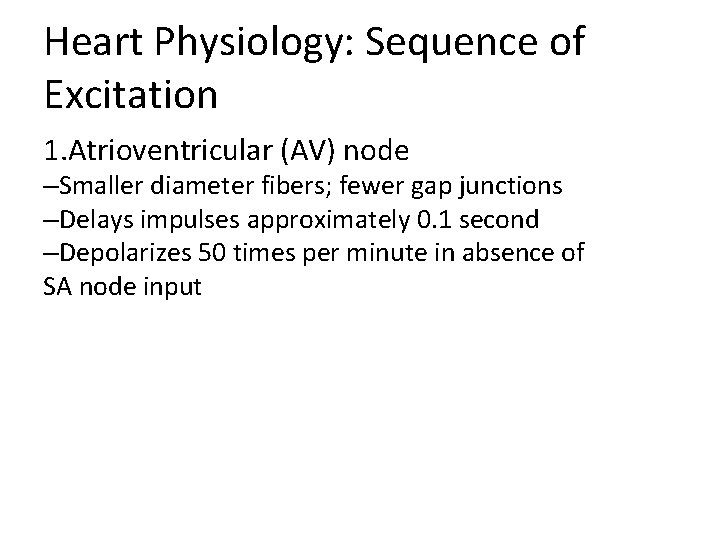 Heart Physiology: Sequence of Excitation 1. Atrioventricular (AV) node –Smaller diameter fibers; fewer gap